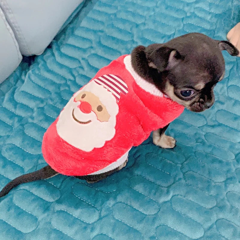 Cute Printed Tea Cup Dog Sweater With Cozy Fleece Comfort