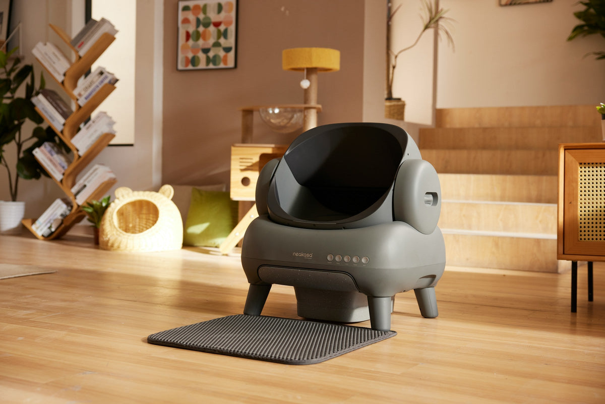 Cat Litter Accessories