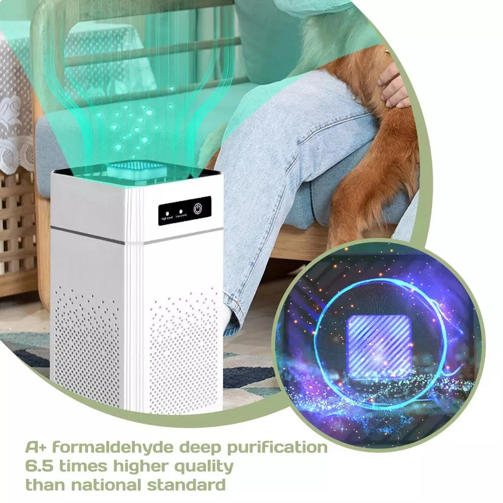 HEPA Air Purifier For Dust Smoke Odor Pollen Pet Dander
