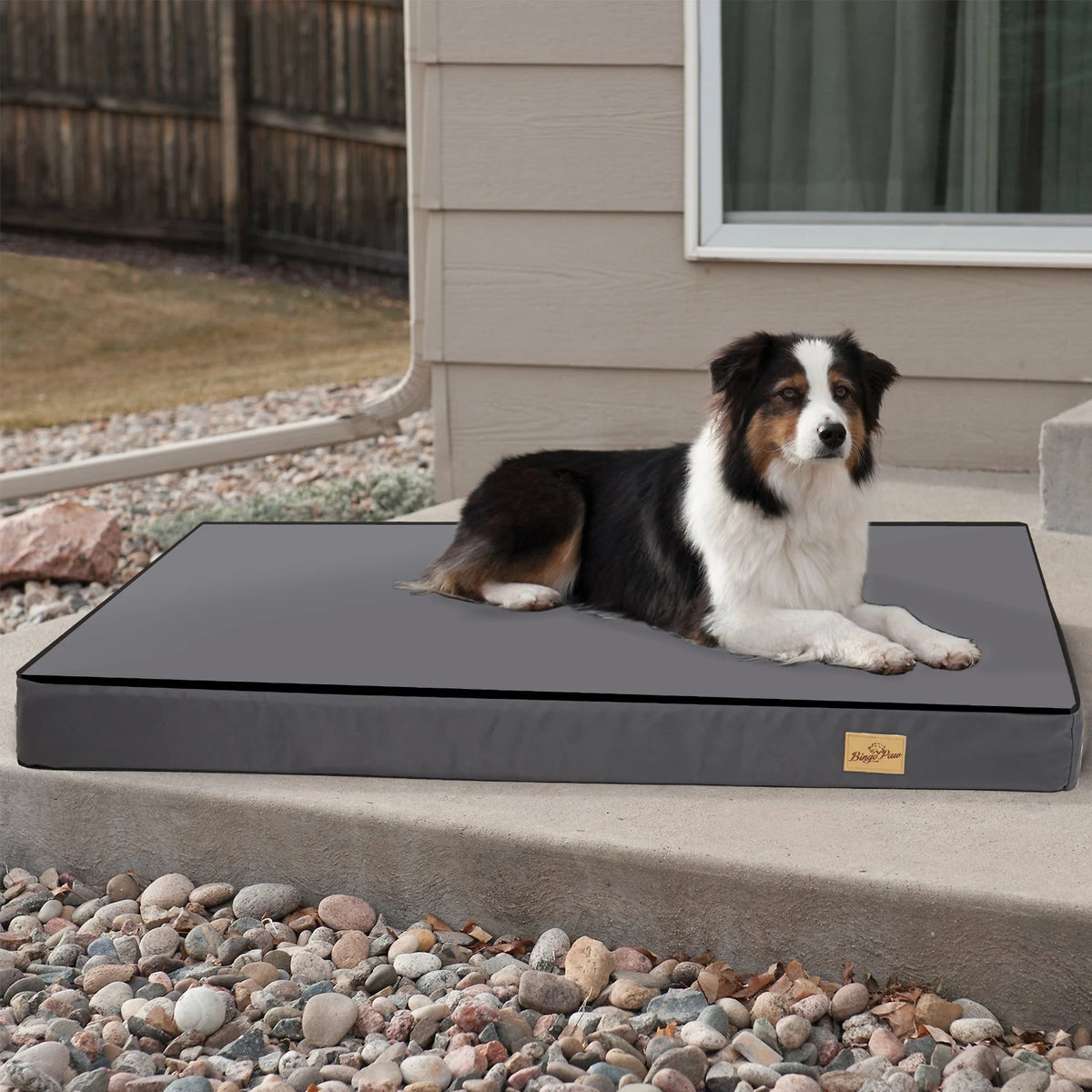 BINGOPAW Washable Orthopedic Dog Bed With Removable Cover