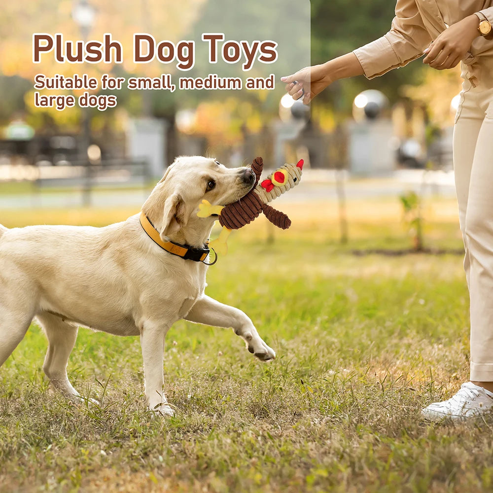 5 Pack Plush Squeaky Dog Toys Assortment Bundle For Pets