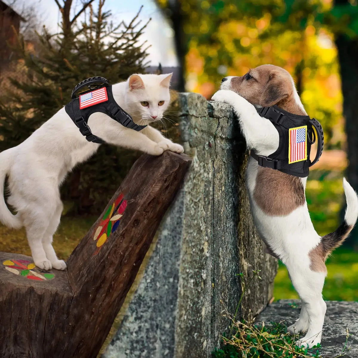 Tactical Puppy Harness Leash Set For Small Dogs Adjustable