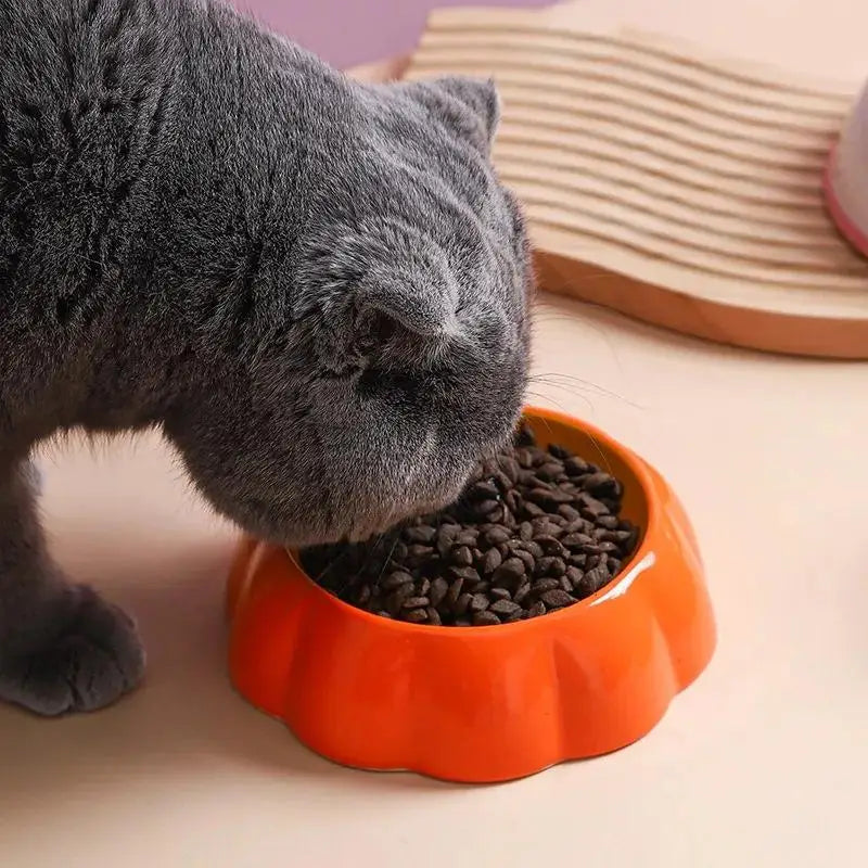 Watermelon Strawberry Shaped Pet Ceramic Bowl For Cats And Dogs