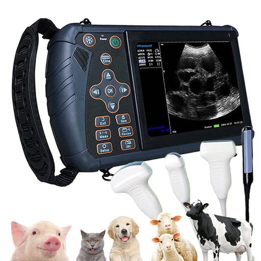 DAWEI Portable Veterinary Ultrasound Scanner B-Ultra For Farm Animals
