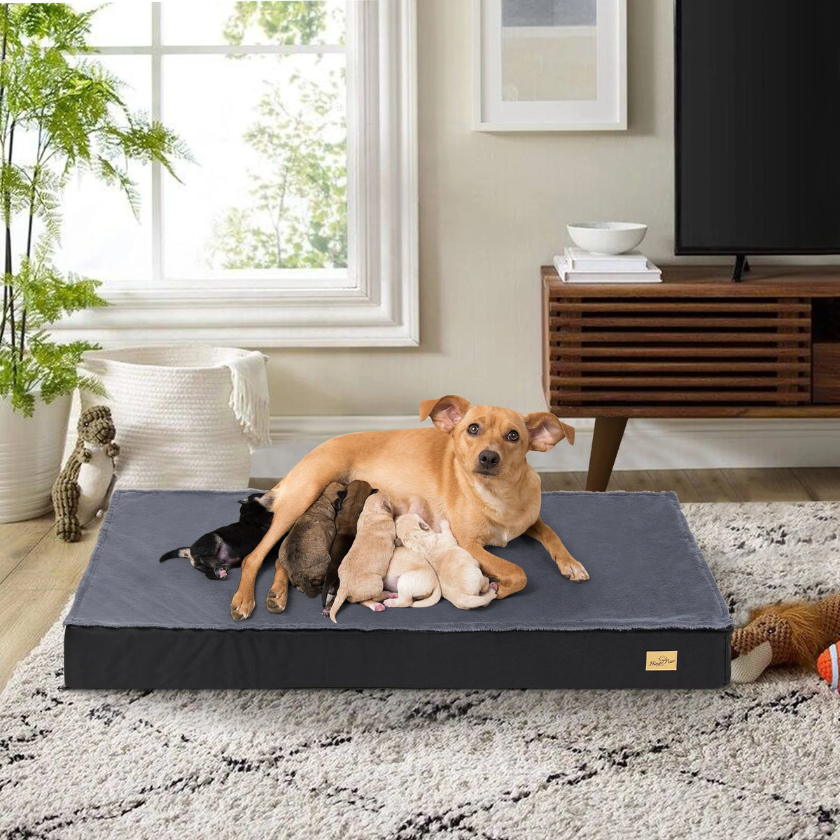 BINGOPAW Washable Orthopedic Dog Bed With Removable Cover