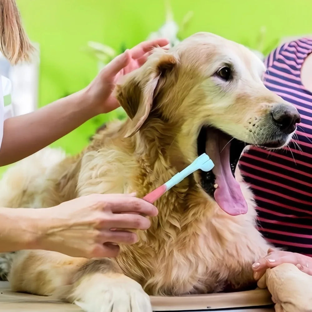Triple Sided Pet Toothbrush For Effective Oral And Dental Care
