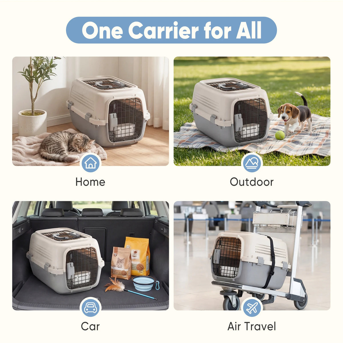Durable Small Pet Carrier Featuring Dual Access Doors And Locks