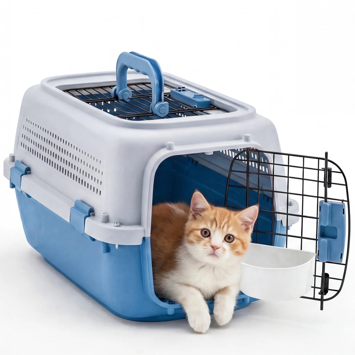 Durable Small Pet Carrier Featuring Dual Access Doors And Locks