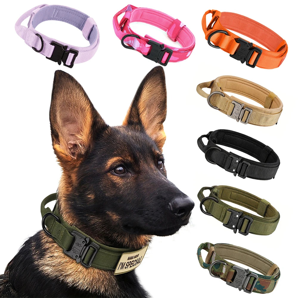 Dog Training Collar And Leash Set With Control Handle