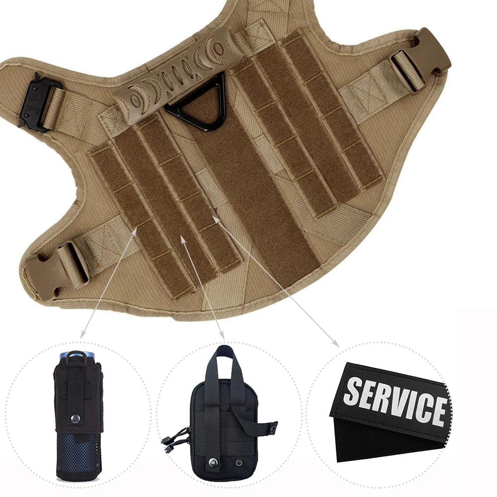 Petavel Padded Dog Harness And Leash Set For Daily Walks