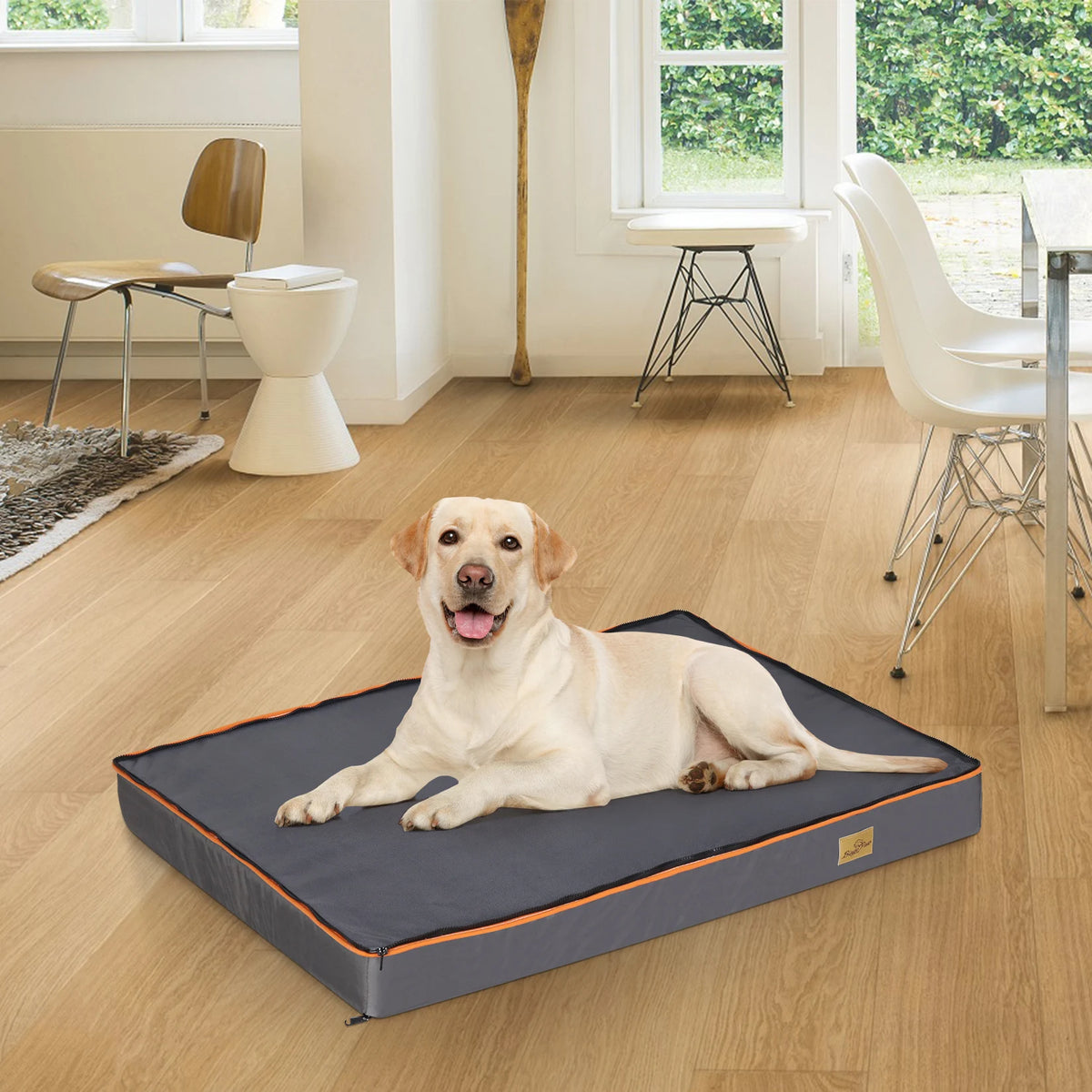 Bingopaw Orthopedic Dog Bed With Removable Washable Cover