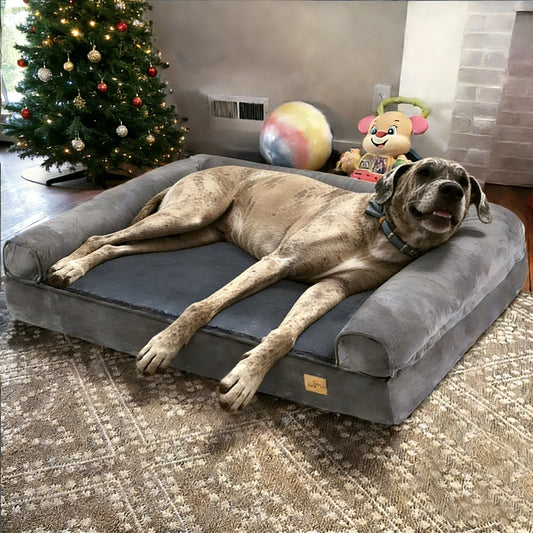 Borwart Orthopedic Dog Bed With Memory Foam Waterproof Removable Cover