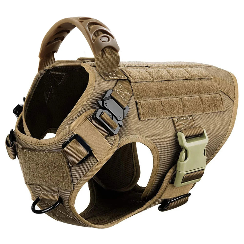 Petavel Padded Dog Harness And Leash Set For Daily Walks