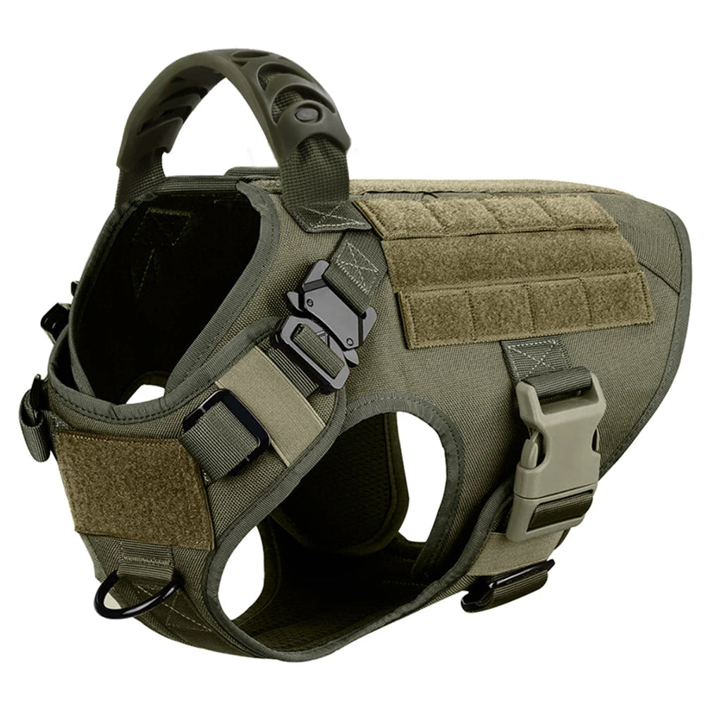 Petavel Padded Dog Harness And Leash Set For Daily Walks