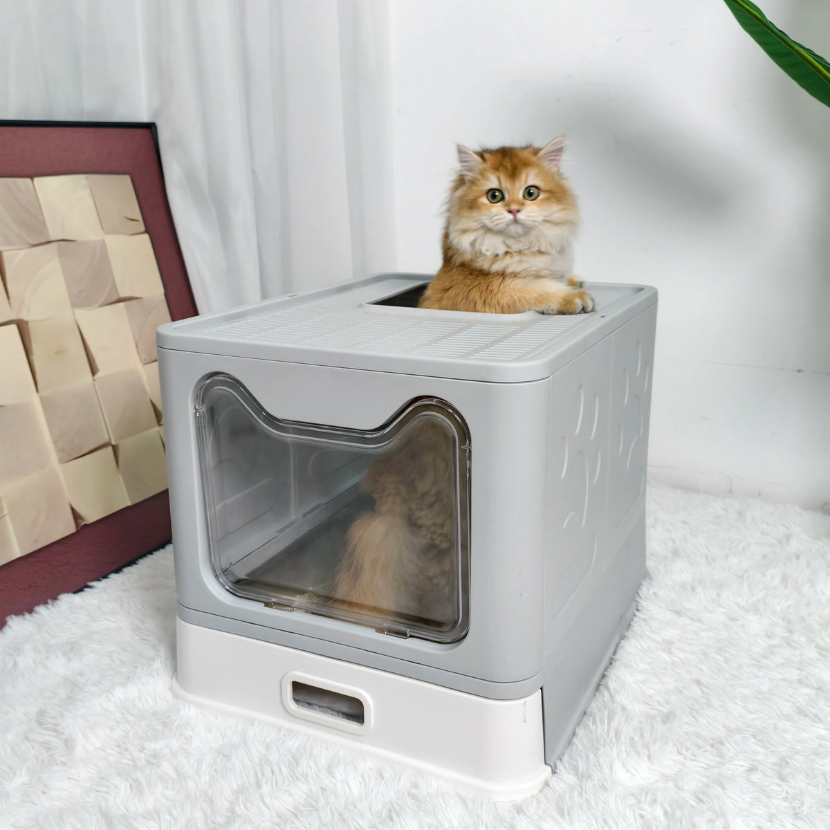 Stainless Steel Front Entry Cat Litter Box With Lid And Scoop