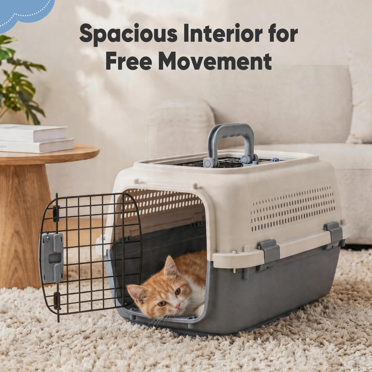 Durable Small Pet Carrier Featuring Dual Access Doors And Locks