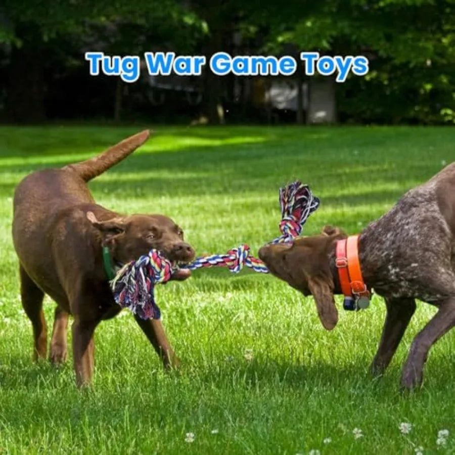 Heavy Duty Dog Nylon Rope Teeth Cleaning Tug Of War
