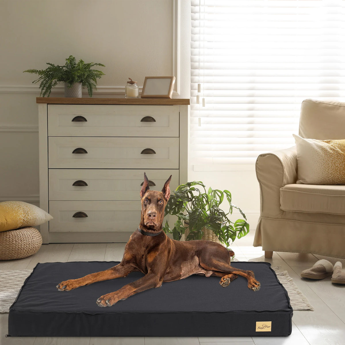 BINGOPAW Washable Orthopedic Dog Bed With Removable Cover