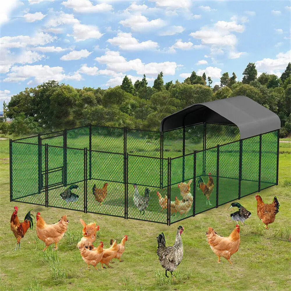 BORWART Heavy Duty Walk In Chicken Coop Run For Poultry