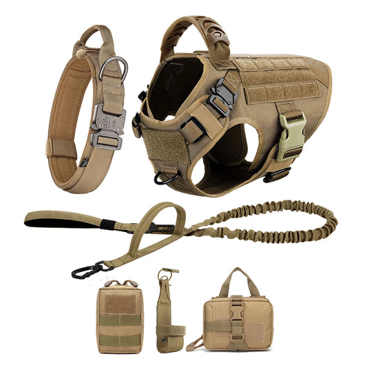 Petavel Padded Dog Harness And Leash Set For Daily Walks