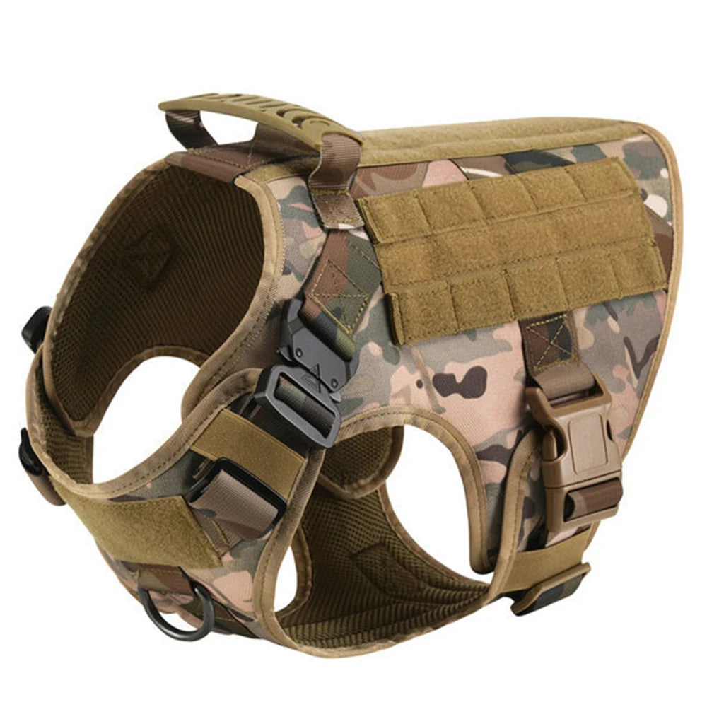 Petavel Padded Dog Harness And Leash Set For Daily Walks
