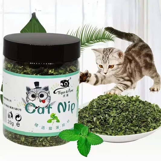 Organic Catnip Interactive Round Stainless Steel Cat Toy For Pets