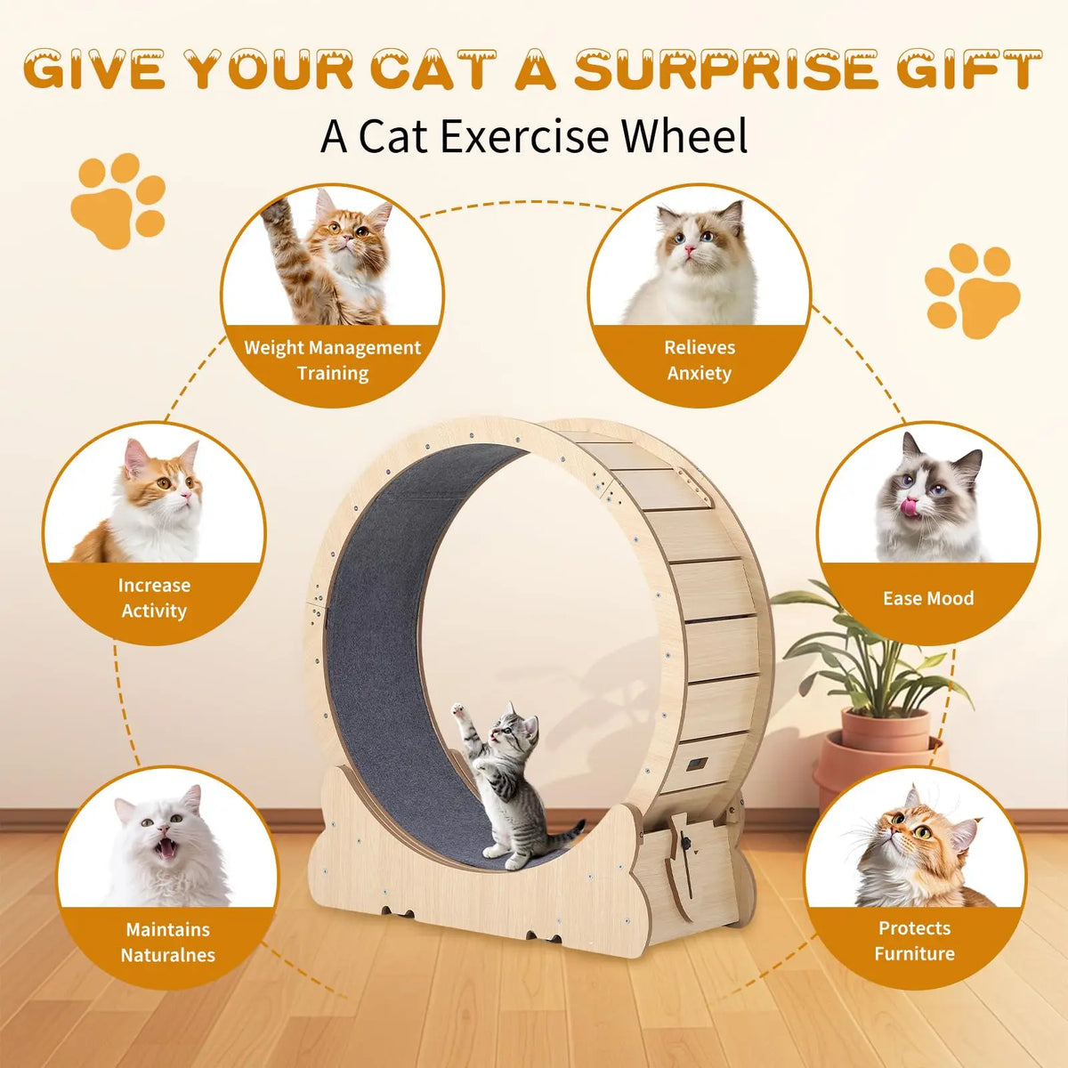 HiMISS Cat Exercise Wheel For Indoor Cats With Carpeted Runway Locking