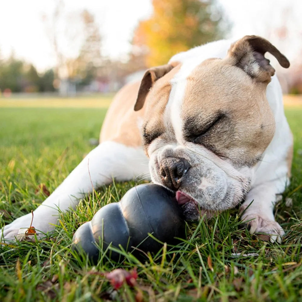 Extreme Dog Toy Fetch And Chew Treat Filling Durable Rubber