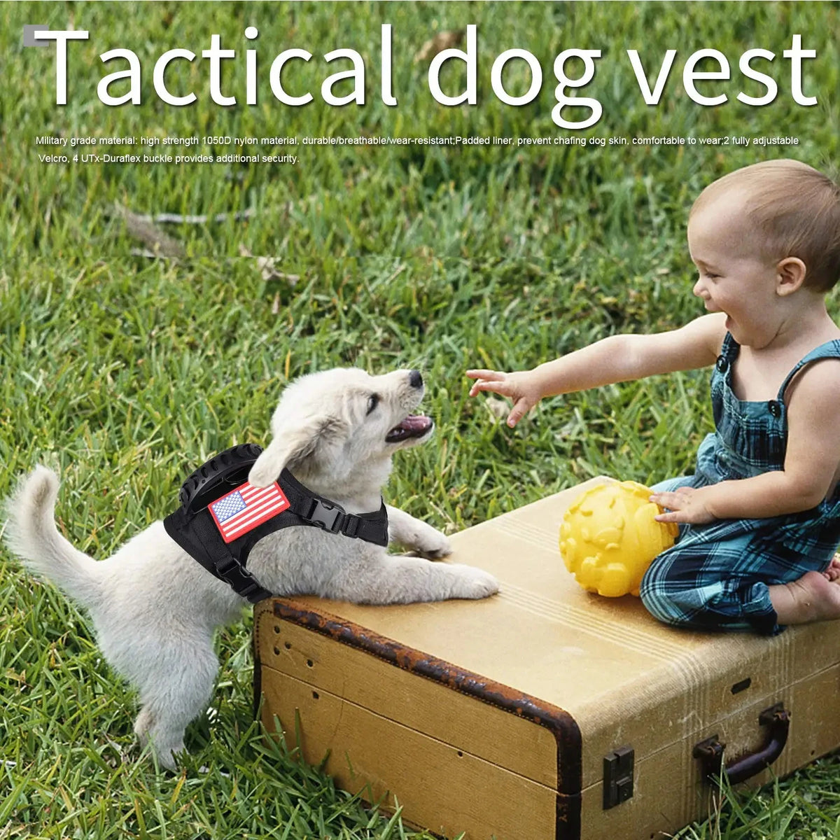 Tactical Puppy Harness Leash Set For Small Dogs Adjustable