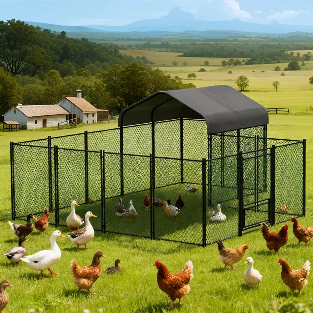 BORWART Heavy Duty Walk In Chicken Coop Run For Poultry