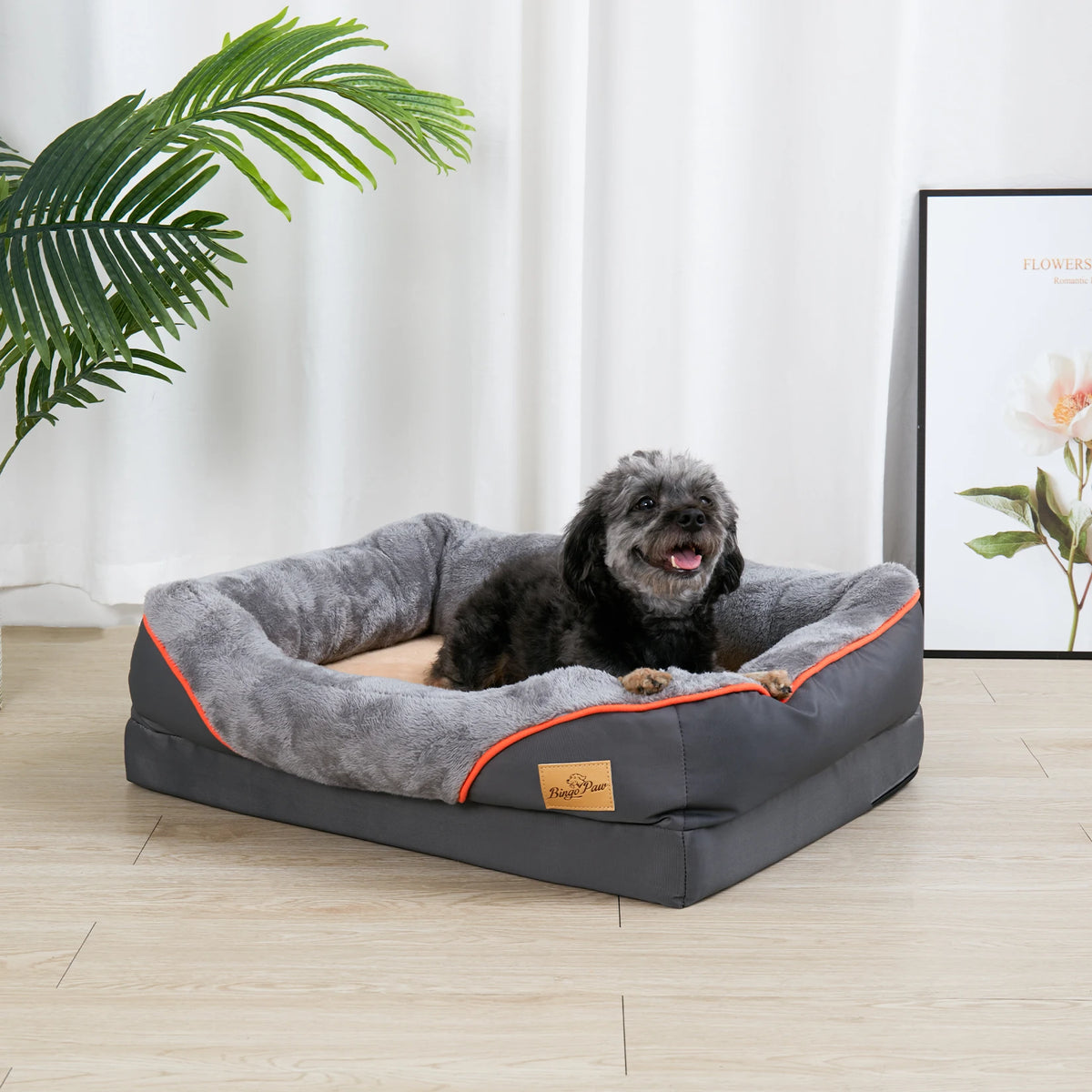 Bingopaw Orthopedic Dog Bed With Removable Cover And Cotton Bolster