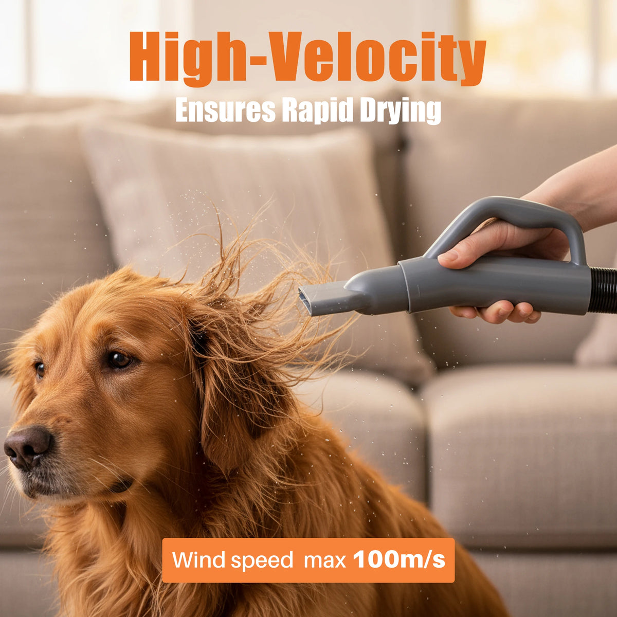 JHK Pet Grooming Vacuum Dryer Kit With Adjustable Heat