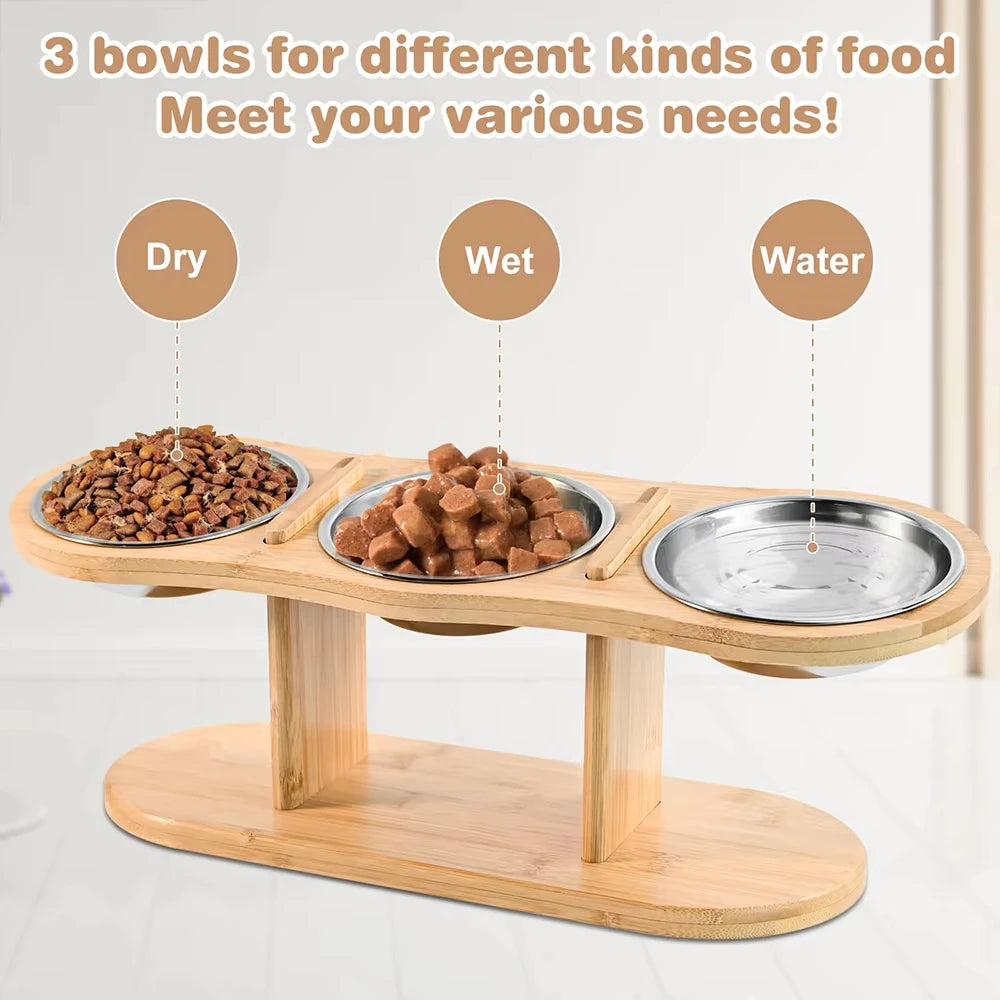 Stainless Cat Bowls In 1 Elevated Feeder Tilted 15 Degree