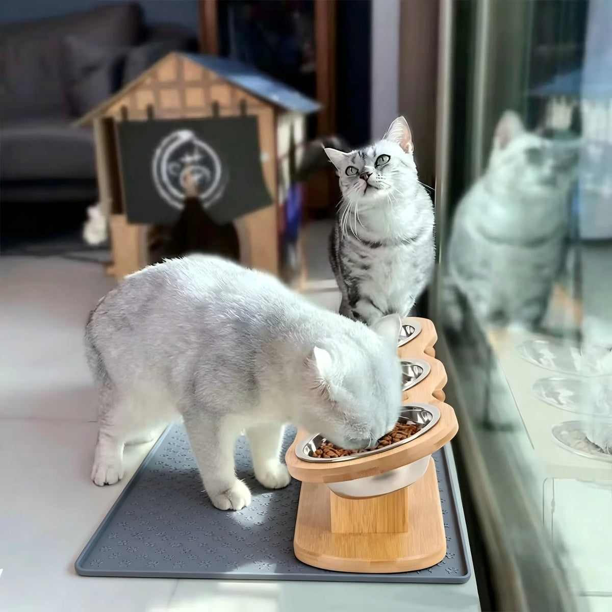 Stainless Cat Bowls In 1 Elevated Feeder Tilted 15 Degree