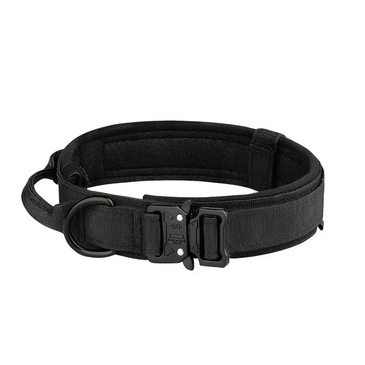 Dog Training Collar And Leash Set With Control Handle