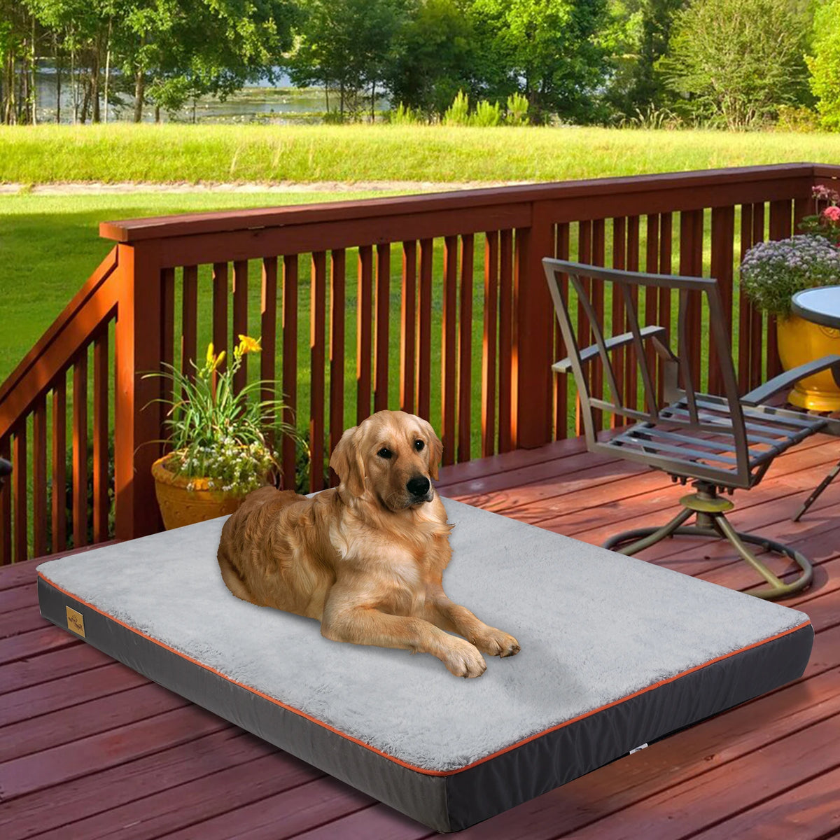 Bingopaw Orthopedic Dog Bed With Removable Washable Cover