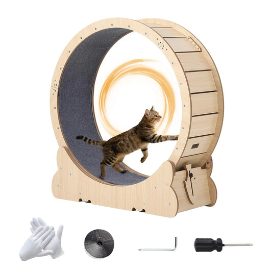 HiMISS Cat Exercise Wheel For Indoor Cats With Carpeted Runway Locking