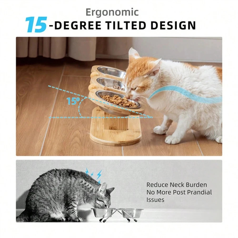 Stainless Cat Bowls In 1 Elevated Feeder Tilted 15 Degree