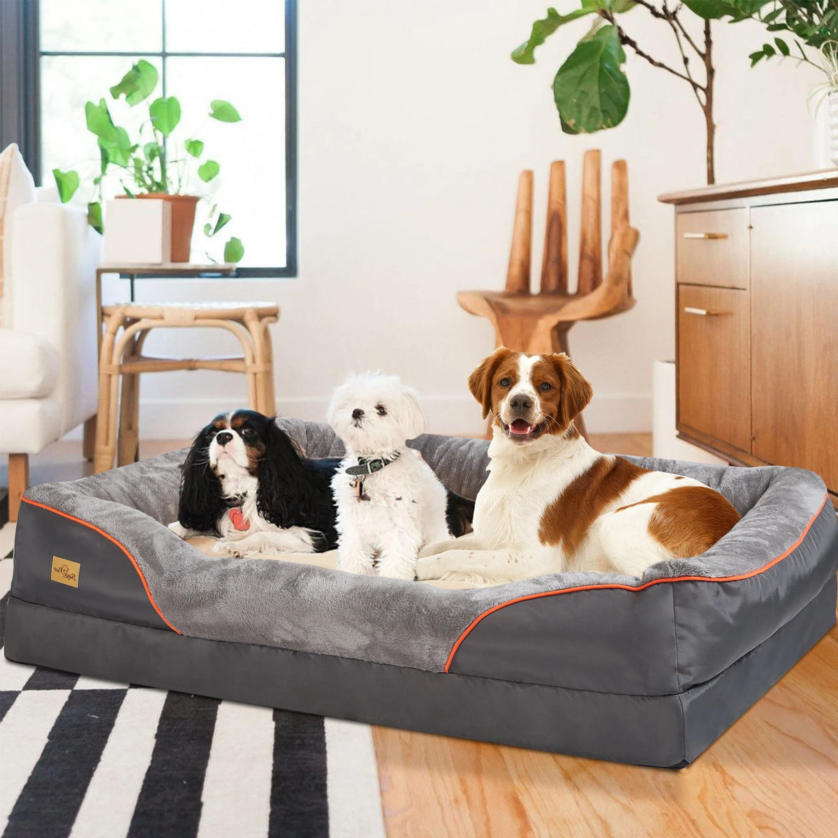 Bingopaw Orthopedic Dog Bed With Removable Cover And Cotton Bolster