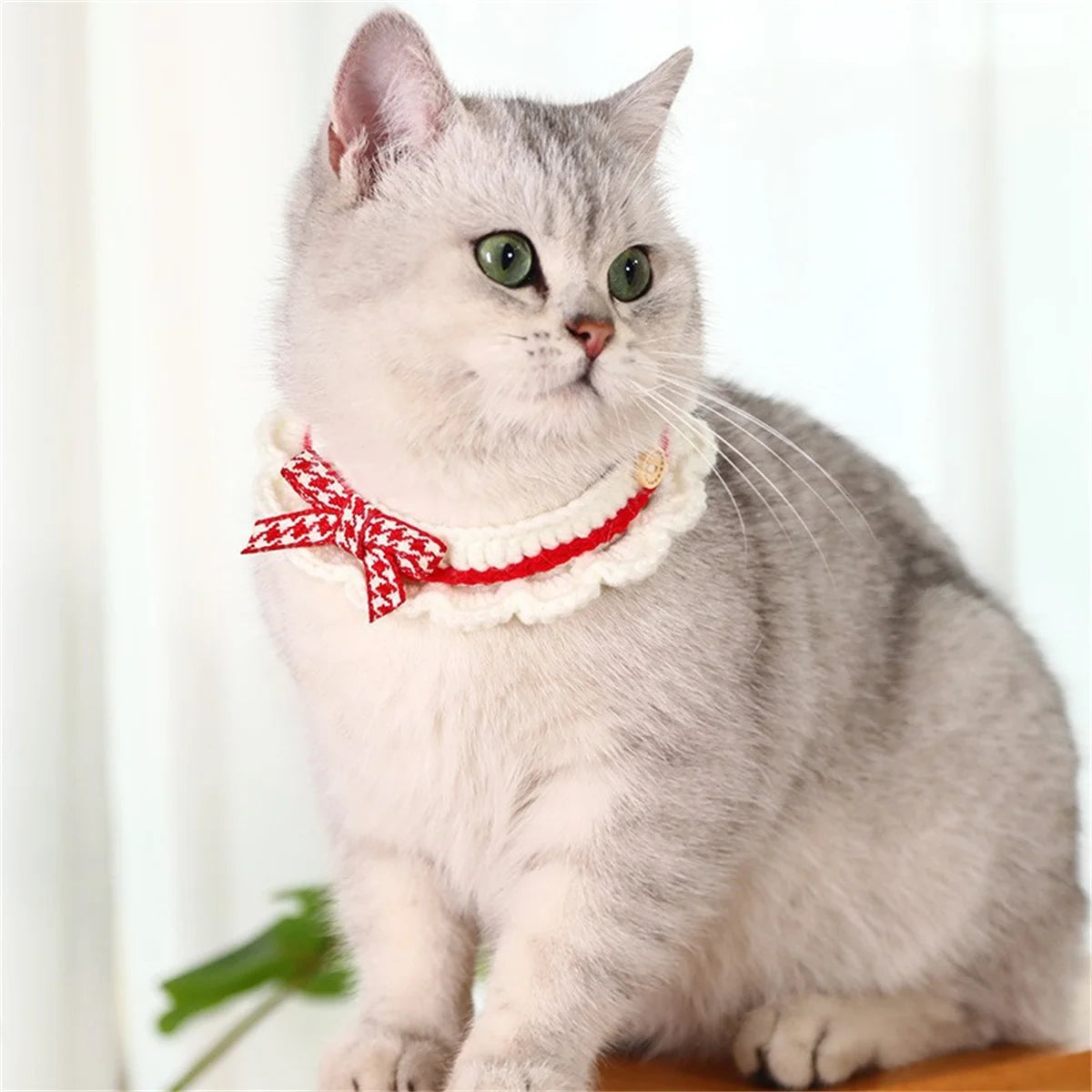 Adjustable Handknit Bow Collar For Cats And Puppies