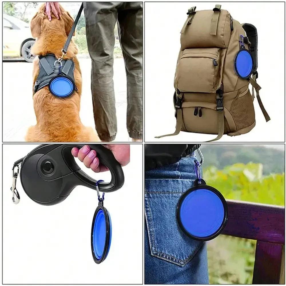 Portable Collapsible Pet Dining Bowl With Carabiner