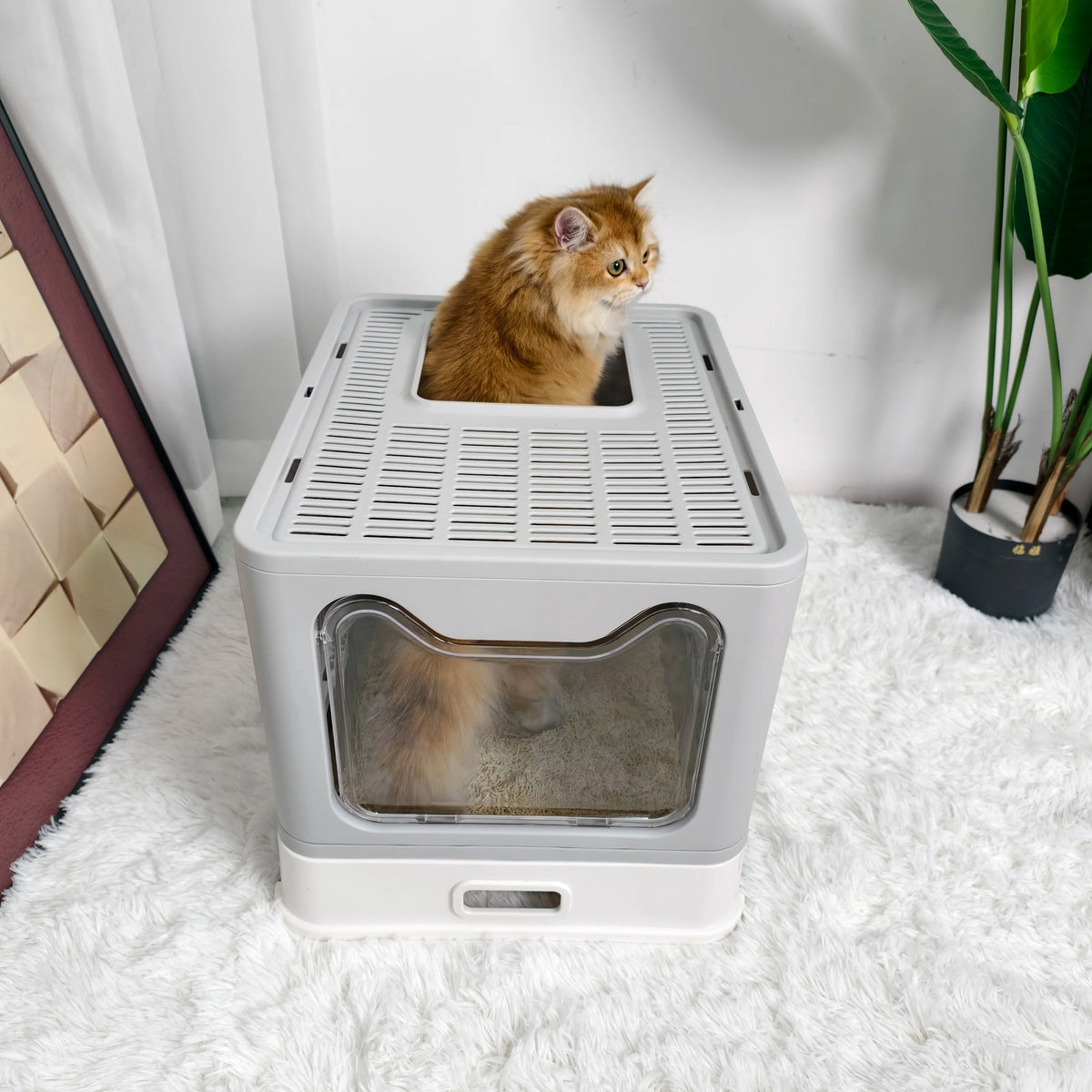 Stainless Steel Front Entry Cat Litter Box With Lid And Scoop
