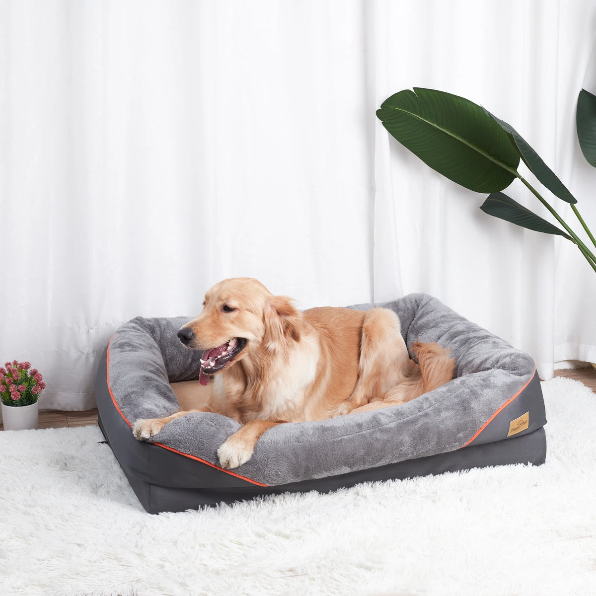 Bingopaw Large Dog Bed Soft Fleece Removable Wash Cover
