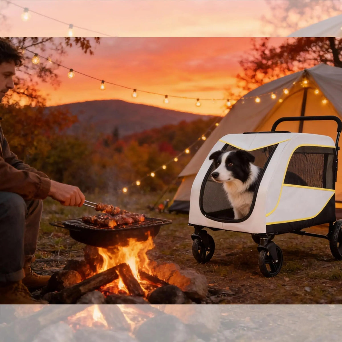 All Terrain Collapsible Pet Stroller With Dual Entry And Brake
