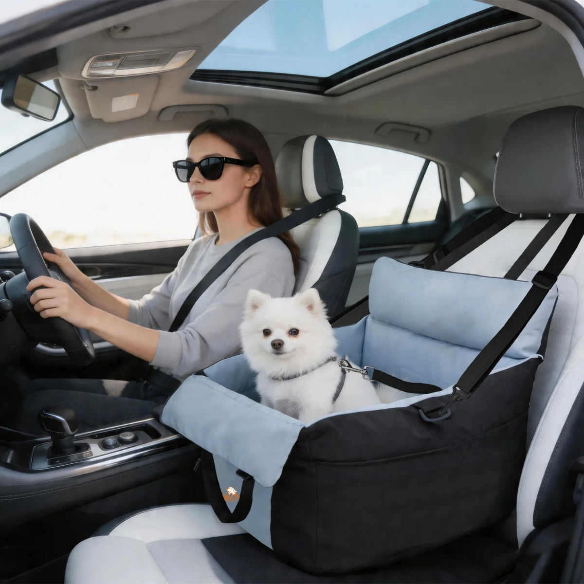 BINGOPAW Washable Dog Car Seat With Secure Safety Belt