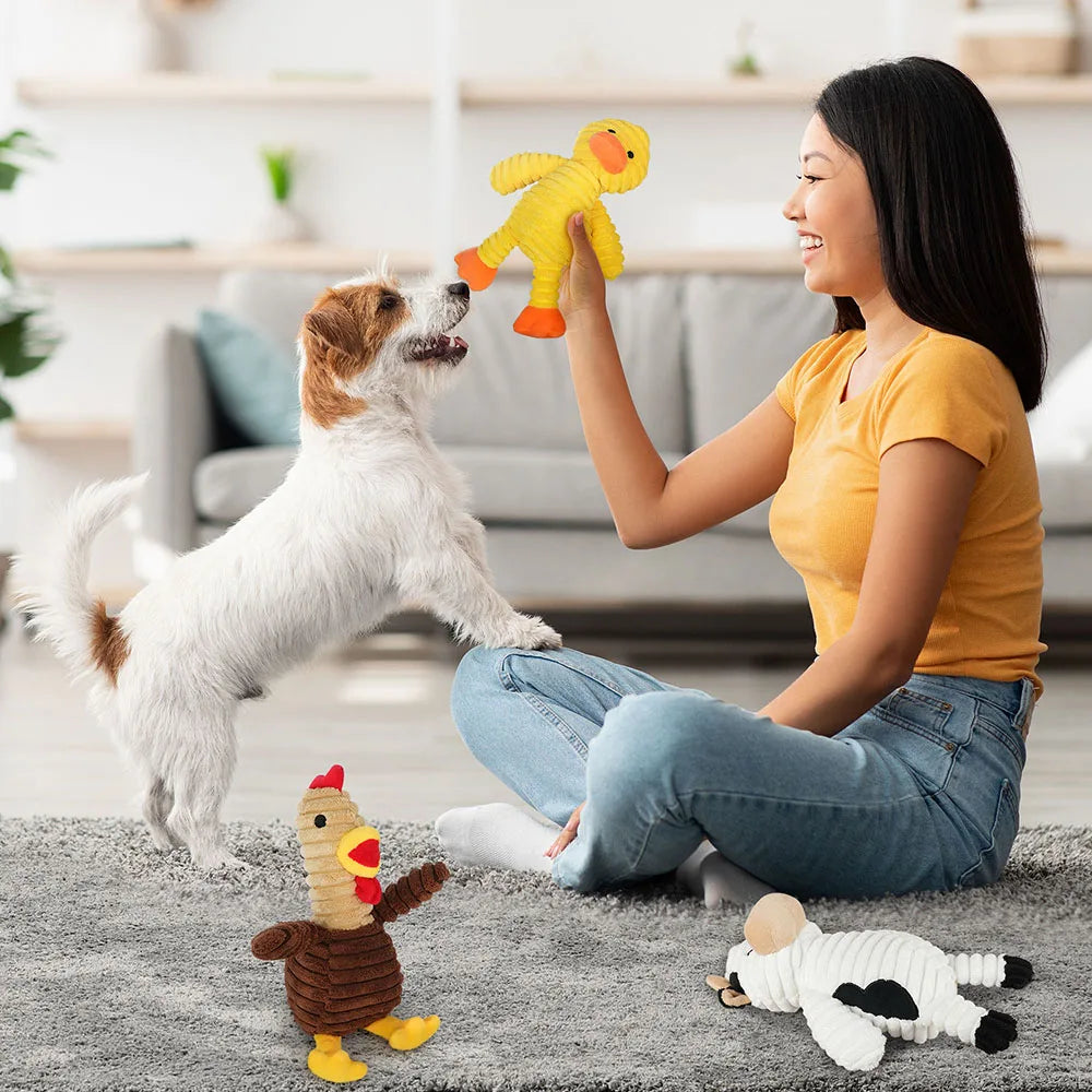 5 Pack Plush Squeaky Dog Toys Assortment Bundle For Pets