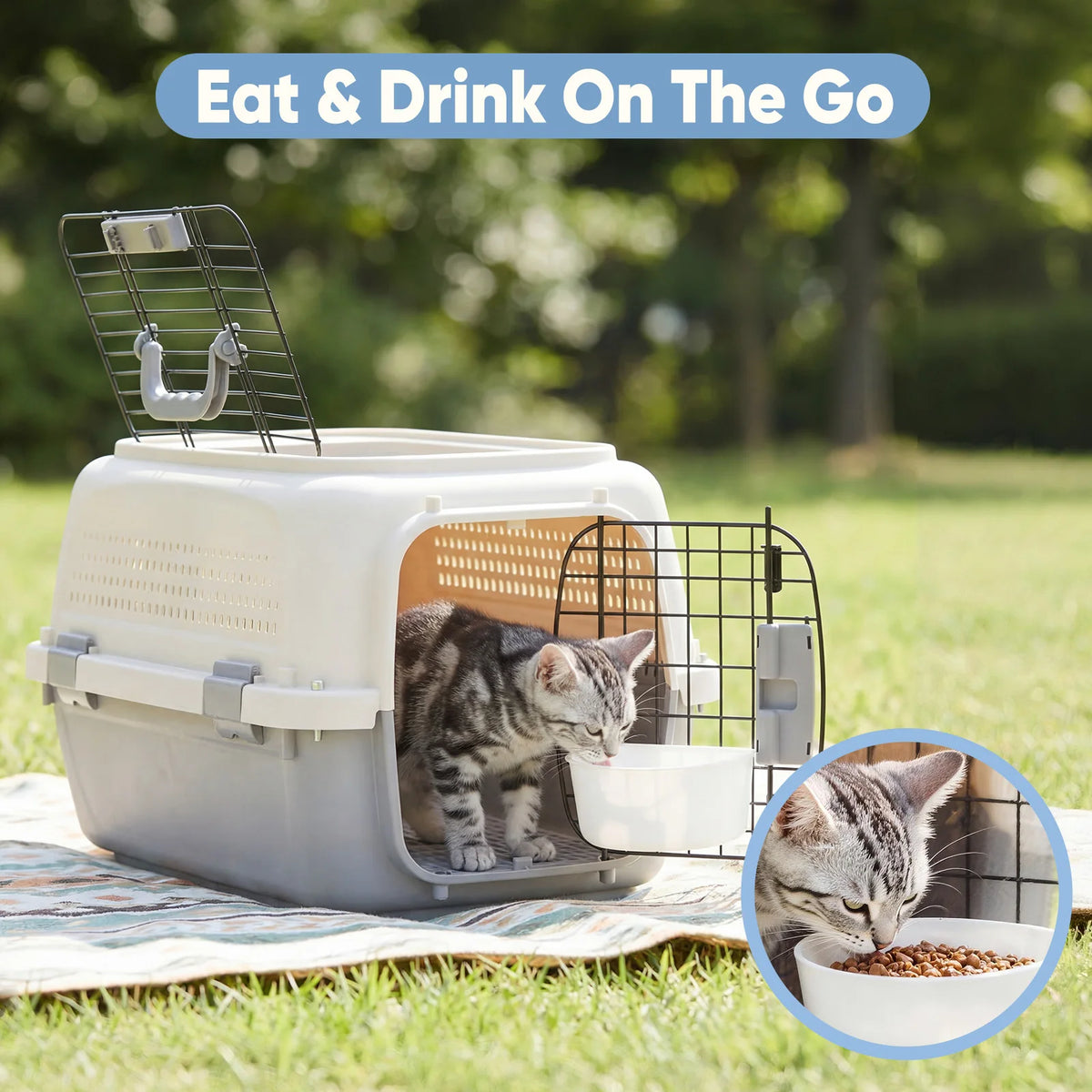 Durable Small Pet Carrier Featuring Dual Access Doors And Locks