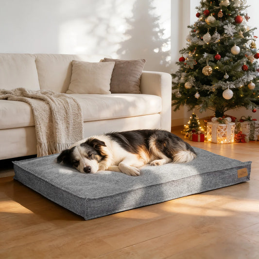 Bingopaw Waterproof Cotton Dog Bed With Rectangular Foam Base