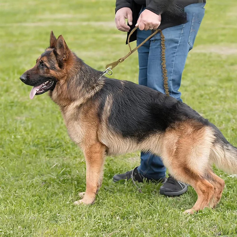 Retractable Military Dog Leash With Dual Handles For All Breeds