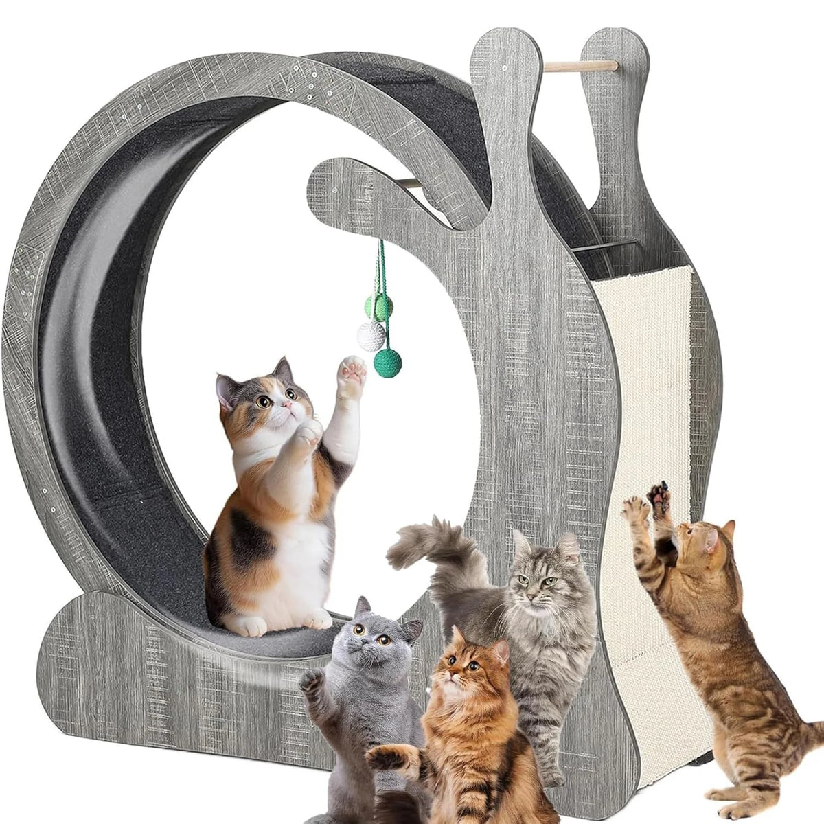 HiMISS Wooden Cat Exercise Wheel With Sisal Scratching Board